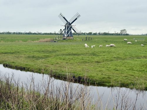 Friesland
