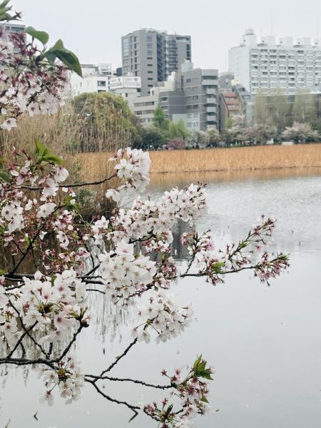 IMG_5340