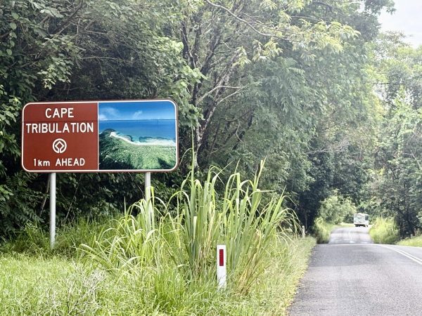 IMG_6235